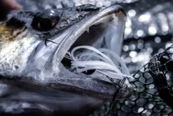 Quantum 4Street Chatter 8 Quantum 4Street Chatter -Angelausrüstung 22 3139104r 4