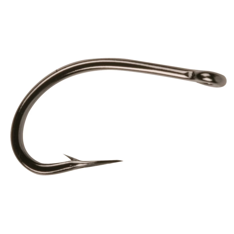 Owner Carp C-1 1 Owner Carp C-1