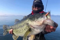 Megabass Dyna Response 14g -Angelausrüstung MB DR 4513473478703r 3