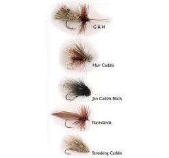 Dry Fly Sedges 5-pack
